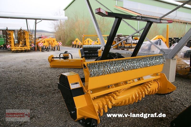 Mulcher Türe ait Orsi Big Forrest 2550, Neumaschine içinde Ostheim/Rhön (resim 1)