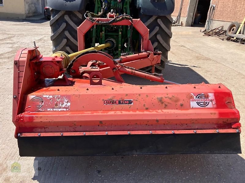 Mulcher типа Sauerburger Alpha 2150, Gebrauchtmaschine в Salsitz (Фотография 3)