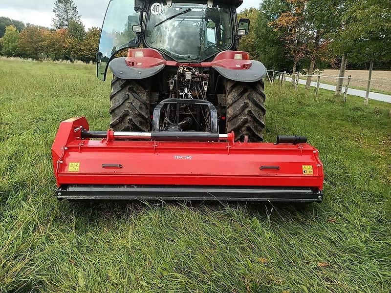 Mulcher Türe ait Sonstige B&M Schlegelmulcher Mulcher Mulchgerät Mäher Mulchmäher, Gebrauchtmaschine içinde Schmallenberg (resim 1)