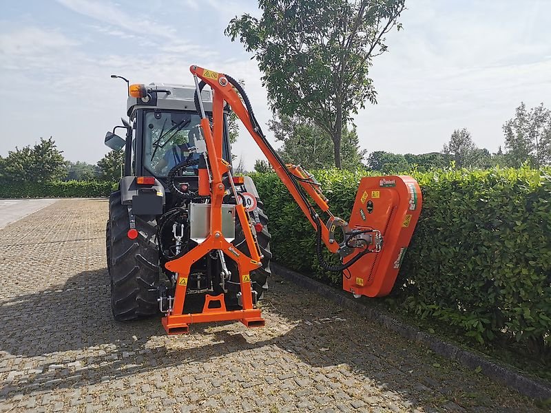 Mulcher a típus Sonstige Rinieri hydraulischer Heckenschneider Ausleger Schere Mulcher, Gebrauchtmaschine ekkor: Schmallenberg (Kép 1)