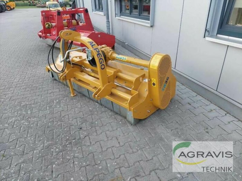 Mulchgerät & Häckselgerät tip Alpego TRISAR TR 36-240, Gebrauchtmaschine in Apenburg-Winterfeld (Poză 1)