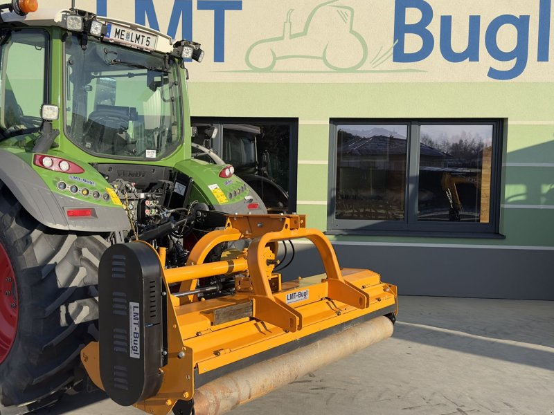 Mulchgerät & Häckselgerät van het type Berti Dual 250, Gebrauchtmaschine in Hürm (Foto 1)