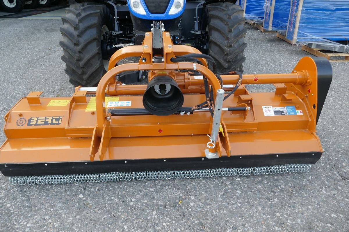 Mulchgerät & Häckselgerät del tipo Berti Dual 250, Gebrauchtmaschine en Villach (Imagen 1)