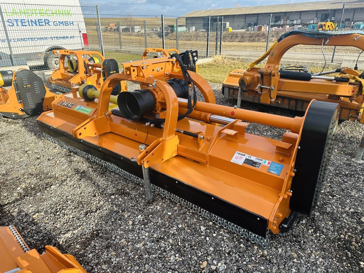 Mulchgerät & Häckselgerät del tipo Berti Dual 300 Mulcher, Neumaschine en Hohenruppersdorf (Imagen 1)