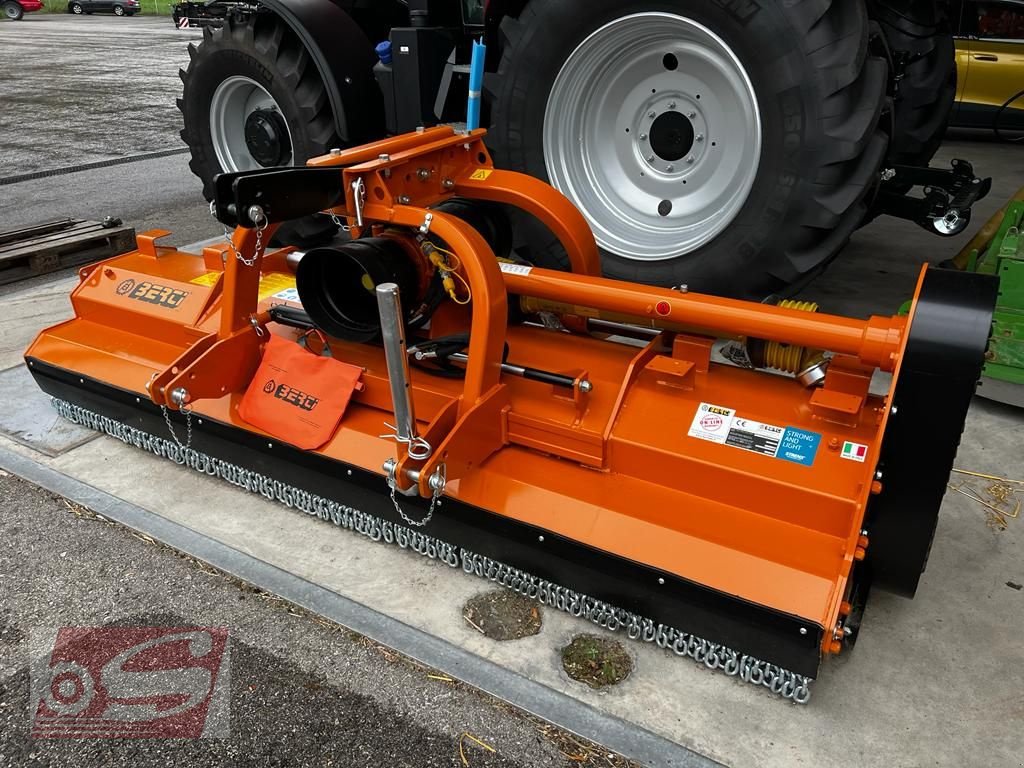 Mulchgerät & Häckselgerät van het type Berti DUAL 300, Neumaschine in Offenhausen (Foto 1)