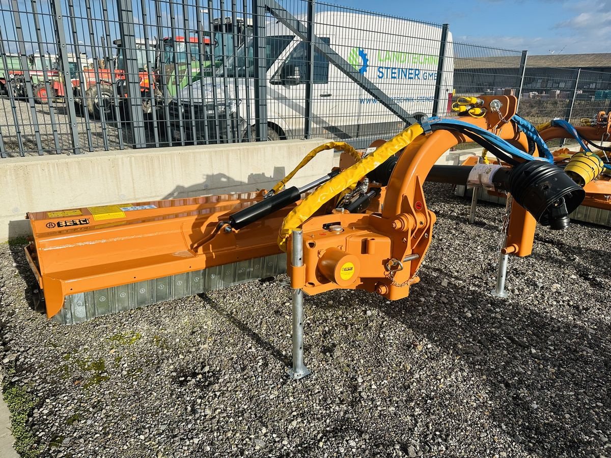 Mulchgerät & Häckselgerät del tipo Berti TA/P 250 Böschungsmulcher, Neumaschine en Hohenruppersdorf (Imagen 1)