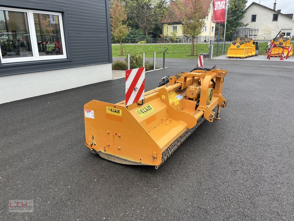 Mulchgerät & Häckselgerät tip Berti TSB 300, Gebrauchtmaschine in Gnas (Poză 3)