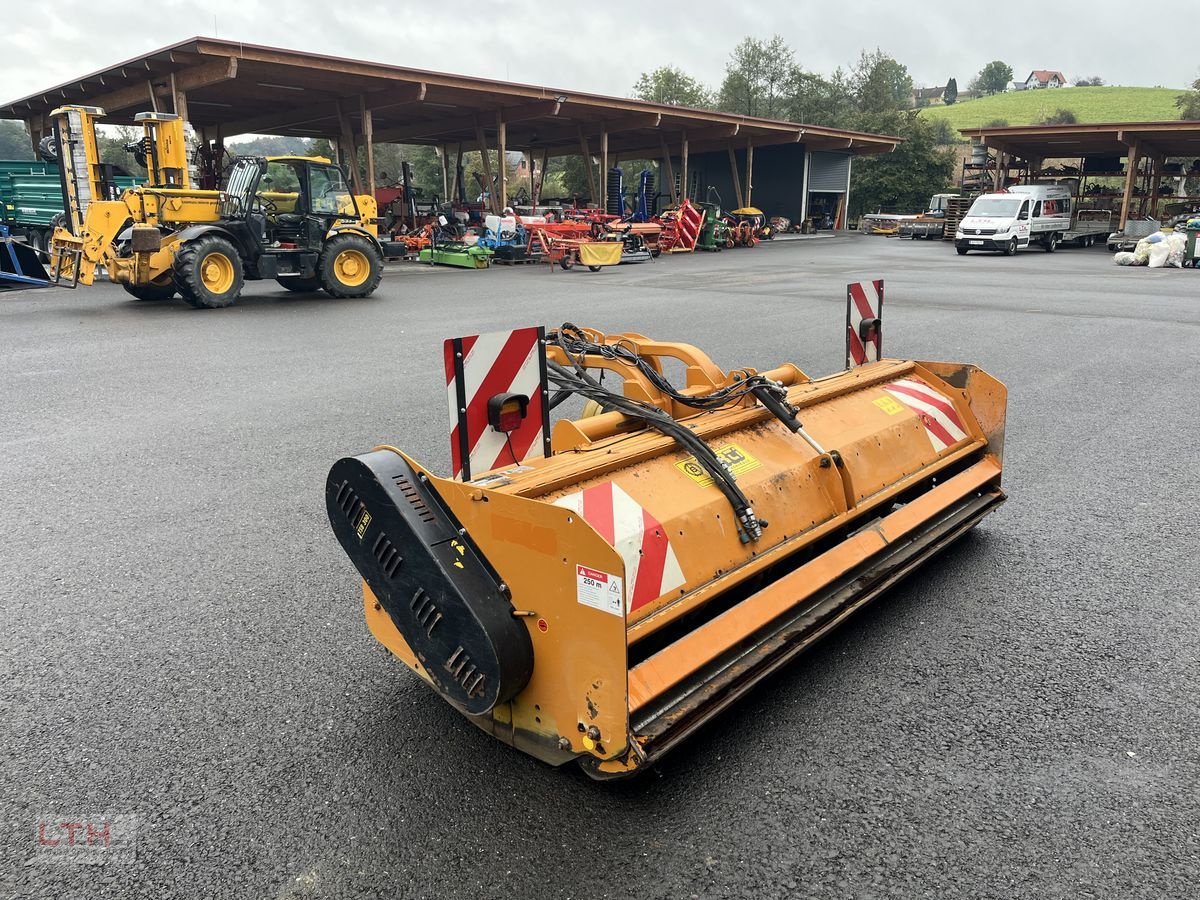 Mulchgerät & Häckselgerät van het type Berti TSB 300, Gebrauchtmaschine in Gnas (Foto 8)