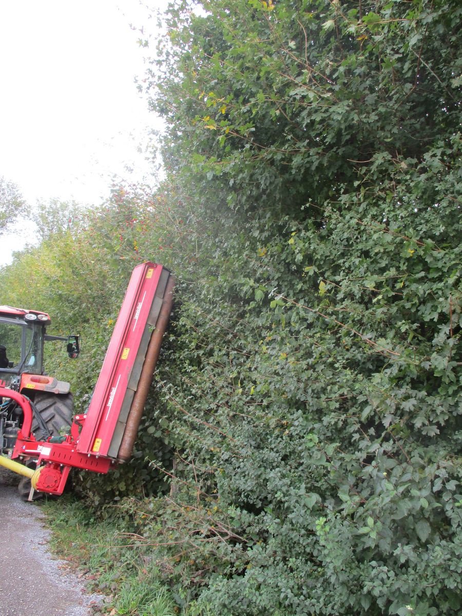 Mulchgerät & Häckselgerät des Typs Breviglieri super master, Gebrauchtmaschine in Altenmarkt (Bild 11)