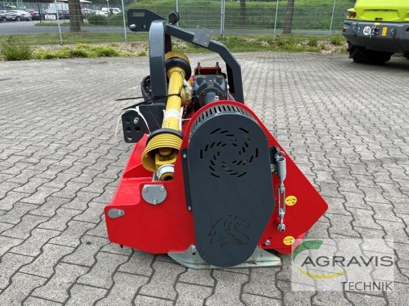 Mulchgerät & Häckselgerät del tipo DRAGONE V 240 SH, Neumaschine en Coesfeld (Imagen 4)