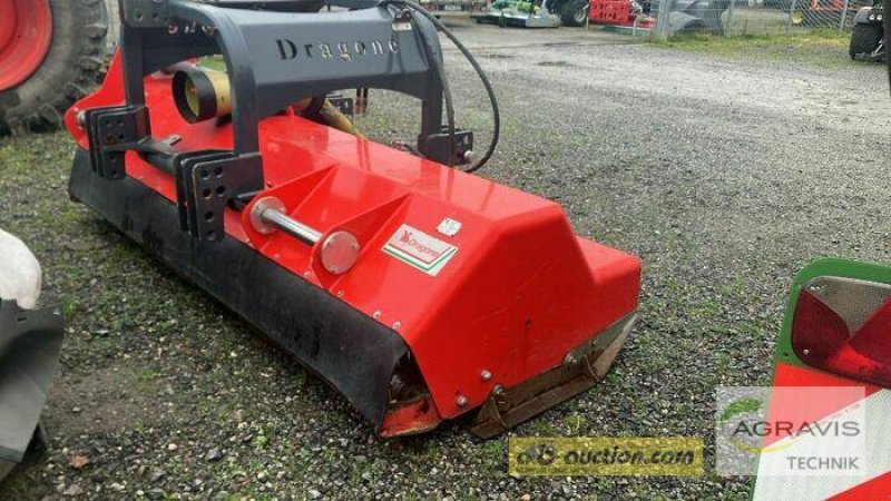 Mulchgerät & Häckselgerät du type DRAGONE VX 280 FSH, Gebrauchtmaschine en Olfen (Photo 3)