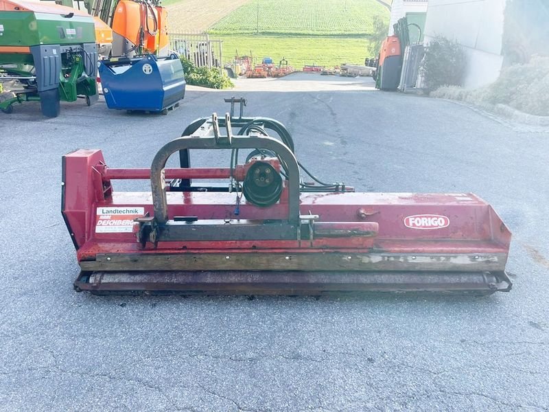 Mulchgerät & Häckselgerät typu Forigo FT 10 R 250 Mulcher, Gebrauchtmaschine w St. Marienkirchen (Zdjęcie 6)