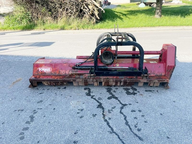 Mulchgerät & Häckselgerät del tipo Forigo FT 10 R 250 Mulcher, Gebrauchtmaschine In St. Marienkirchen (Immagine 2)