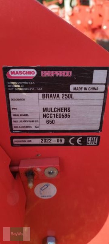 Mulchgerät & Häckselgerät del tipo Maschio BRAVA 250 MECH., Neumaschine en Großweitzschen (Imagen 10)