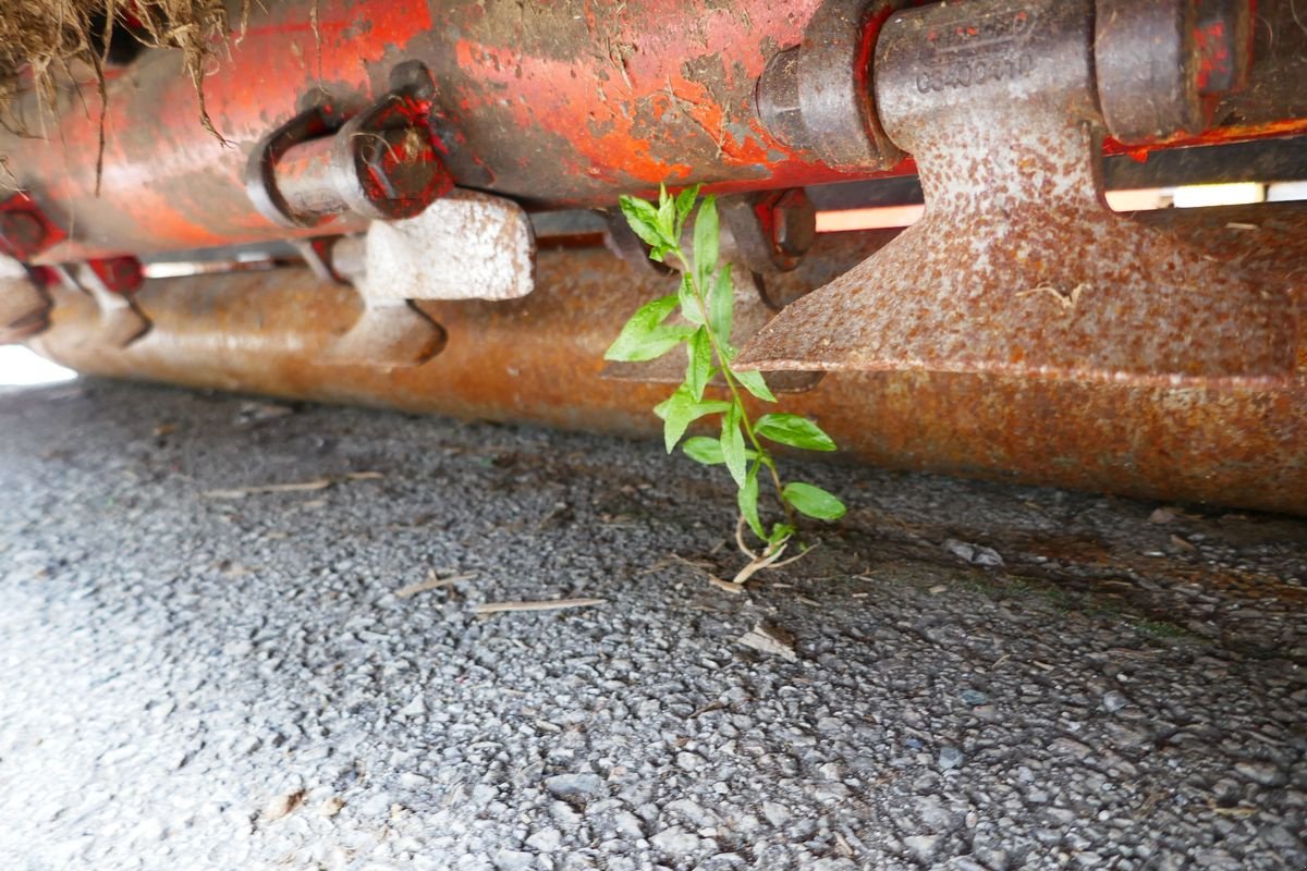 Mulchgerät & Häckselgerät des Typs Maschio CR 230, Gebrauchtmaschine in Villach (Bild 9)