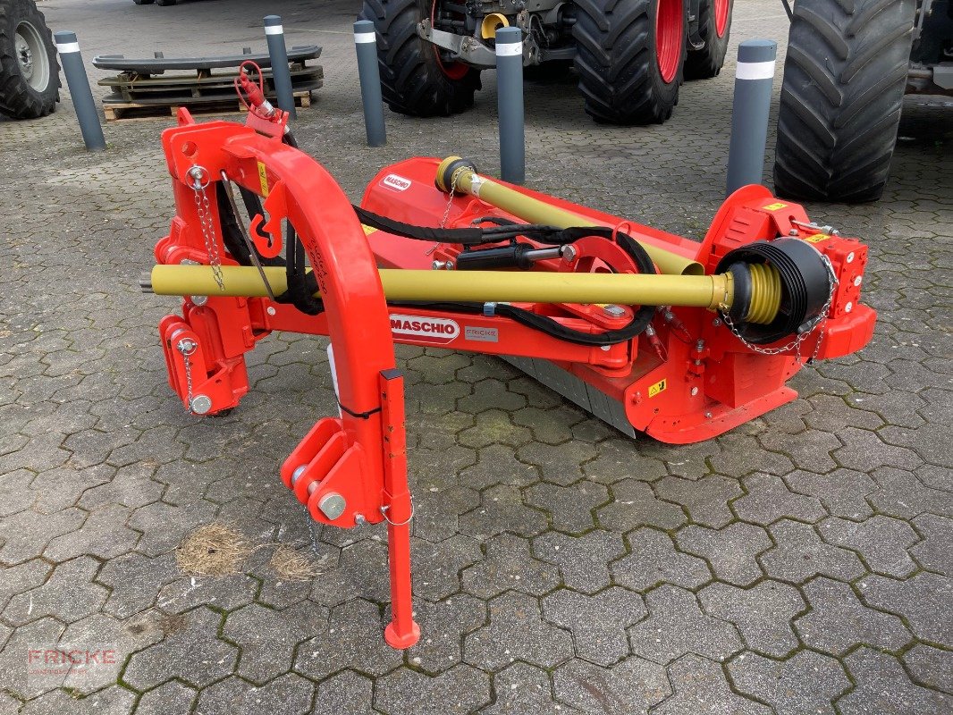 Mulchgerät & Häckselgerät Türe ait Maschio Giarffa XL 210 SE, Neumaschine içinde Bockel - Gyhum (resim 3)