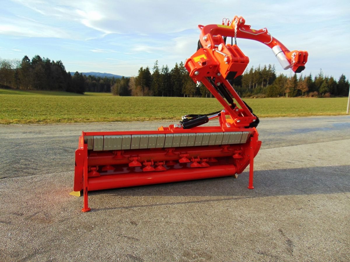 Mulchgerät & Häckselgerät Türe ait Maschio Giraffa XL 210 SE, Neumaschine içinde Neukirchen am Walde  (resim 3)