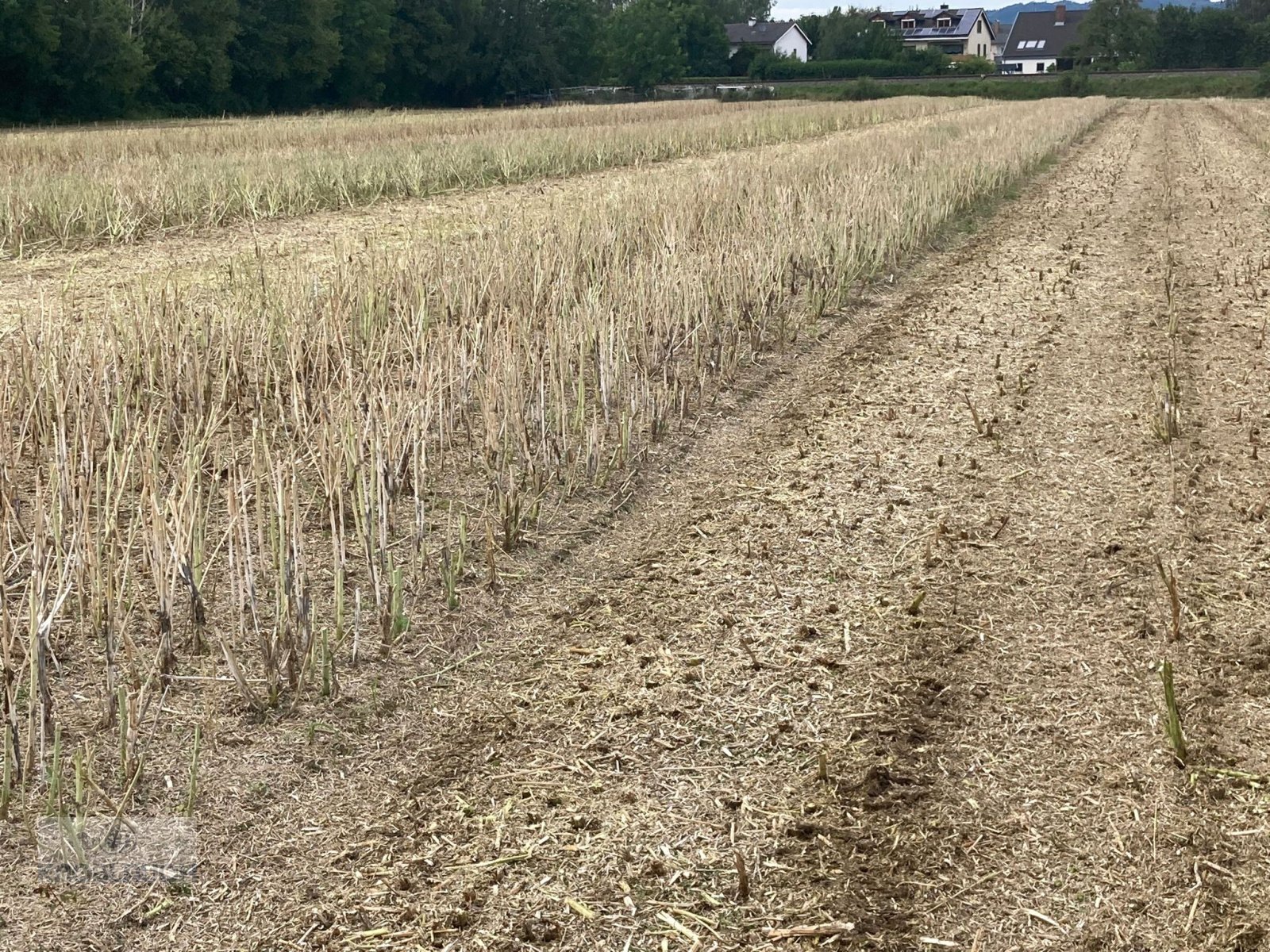 Mulchgerät & Häckselgerät van het type Müthing MU-M 600/F, Neumaschine in Stockach (Foto 6)