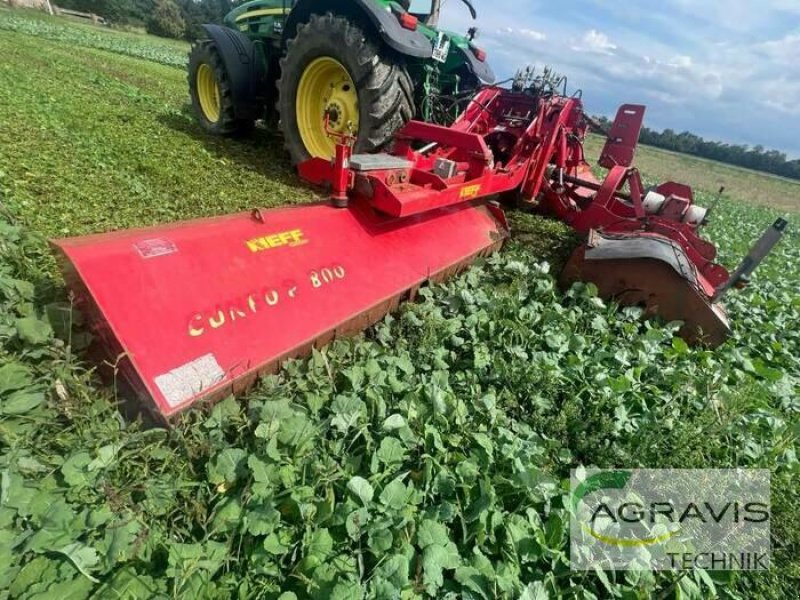 Mulchgerät & Häckselgerät typu Omarv TFR 800, Gebrauchtmaschine v Calbe / Saale (Obrázek 1)