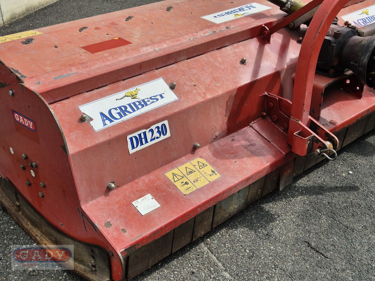 Mulchgerät & Häckselgerät van het type Sonstige Agribest DHL 230, Gebrauchtmaschine in Lebring (Foto 10)