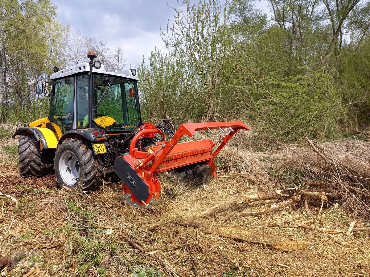 Mulchgerät & Häckselgerät del tipo Sonstige Prinoth M450m-1450, Gebrauchtmaschine en Kaumberg (Imagen 12)