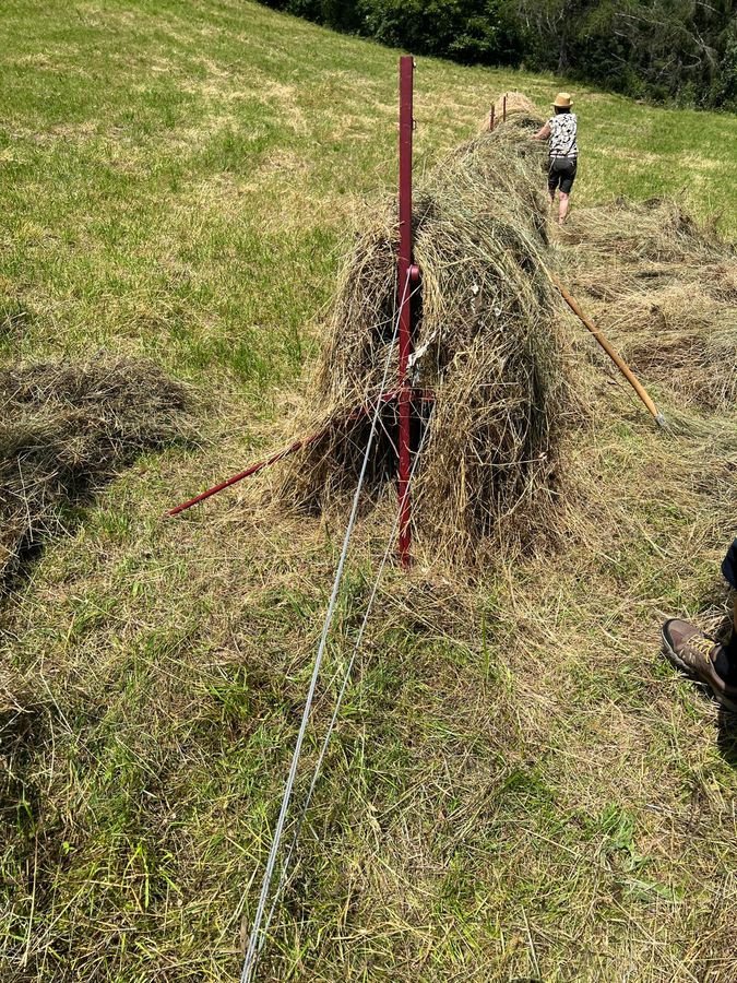 Mulchgerät & Häckselgerät tip Sonstige Schwedenreiter, Vorführmaschine in Ried im Oberinntal (Poză 7)