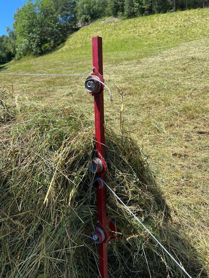 Mulchgerät & Häckselgerät del tipo Sonstige Schwedenreiter, Vorführmaschine en Ried im Oberinntal (Imagen 2)