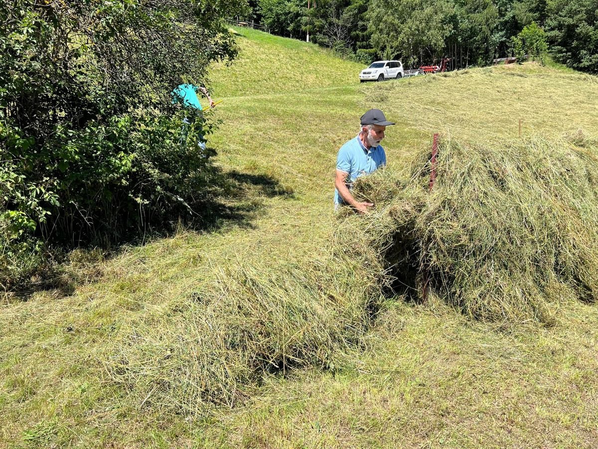 Mulchgerät & Häckselgerät typu Sonstige Schwedenreiter, Vorführmaschine v Ried im Oberinntal (Obrázok 9)