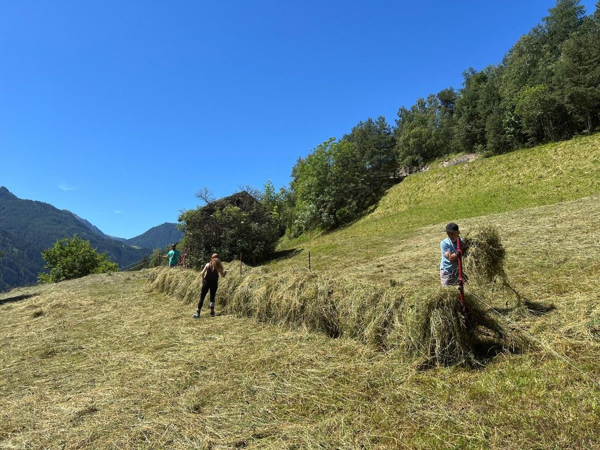 Mulchgerät & Häckselgerät tipa Sonstige Schwedenreiter, Vorführmaschine u Ried im Oberinntal (Slika 3)