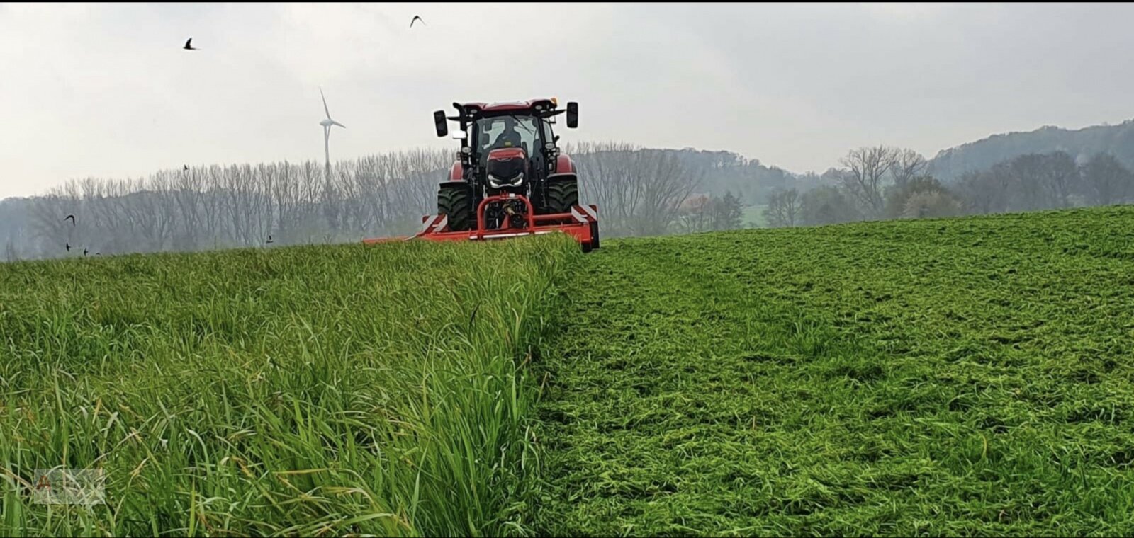 Mulchgerät & Häckselgerät typu Tehnos MU 280 R LW, Neumaschine w Herrenberg-Gültstein (Zdjęcie 6)