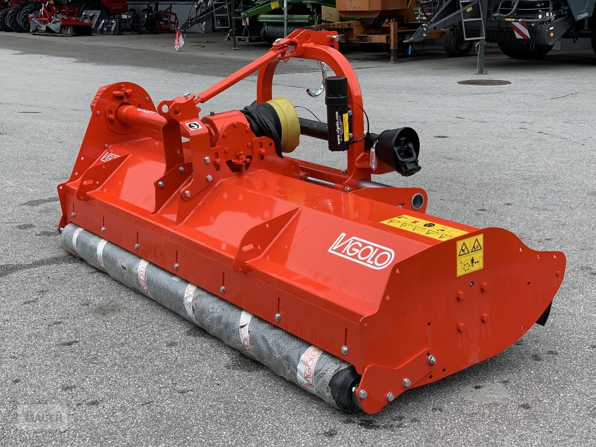 Mulchgerät & Häckselgerät του τύπου Vigolo Mulcher MU2 250, Neumaschine σε Eben (Φωτογραφία 5)