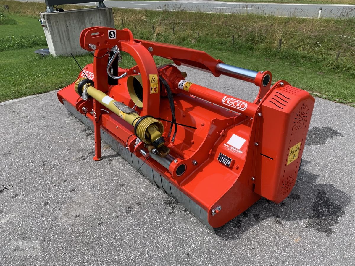 Mulchgerät & Häckselgerät του τύπου Vigolo Mulcher MX2 250, Neumaschine σε Eben (Φωτογραφία 8)