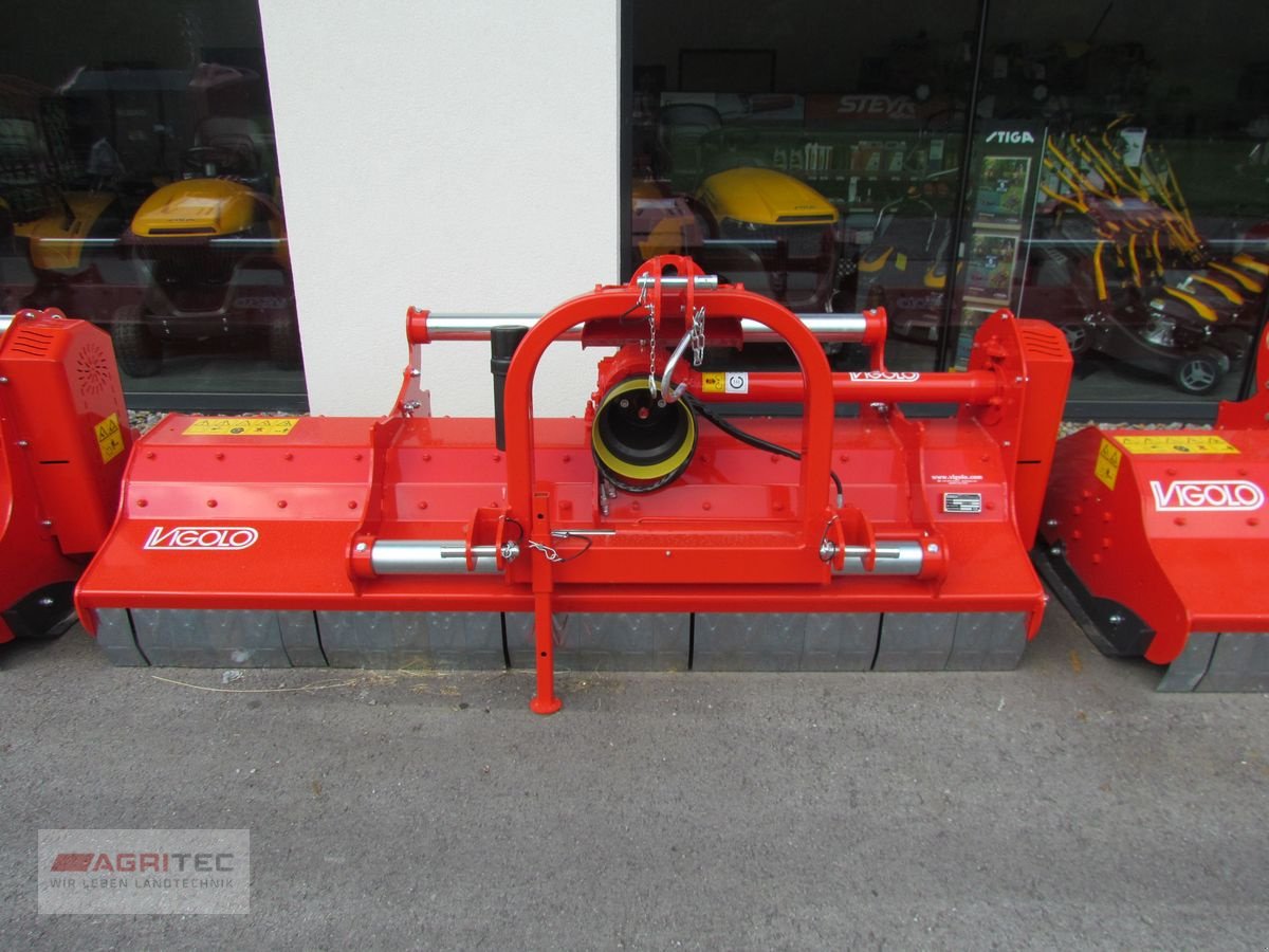 Mulchgerät & Häckselgerät του τύπου Vigolo Vigolo MX2 250 Mulcher, Gebrauchtmaschine σε Friesach (Φωτογραφία 3)