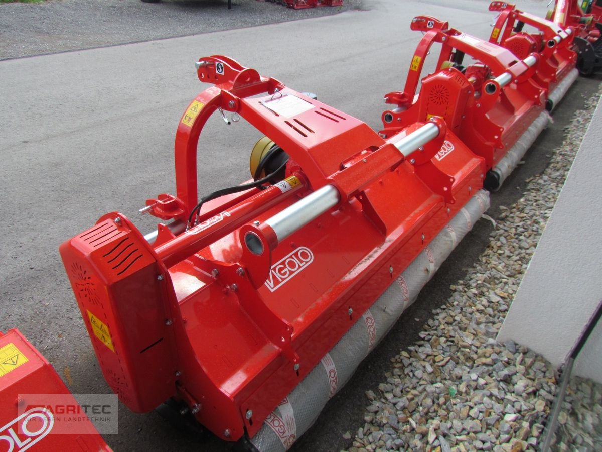 Mulchgerät & Häckselgerät tipa Vigolo Vigolo MX2 250 Mulcher, Gebrauchtmaschine u Friesach (Slika 2)