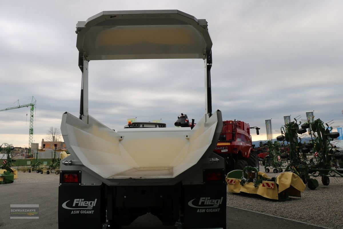 Muldenkipper van het type Fliegl Stone-Master 252 Pro, Neumaschine in Gampern (Foto 11)