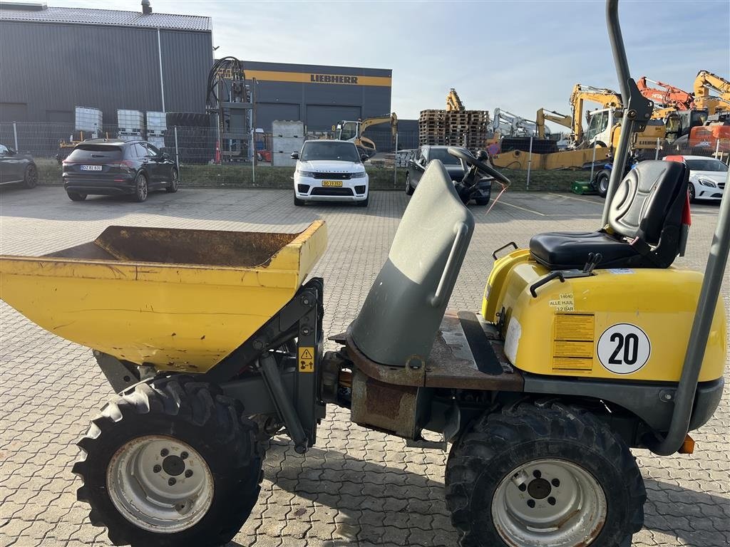 Muldenkipper del tipo Wacker Neuson 1001 med højtip, Gebrauchtmaschine en Rønnede (Imagen 8)