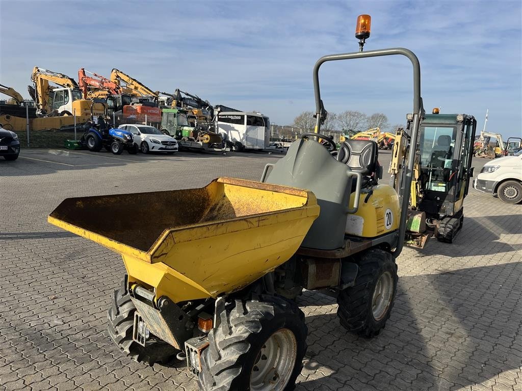 Muldenkipper del tipo Wacker Neuson 1001 med højtip, Gebrauchtmaschine In Rønnede (Immagine 5)