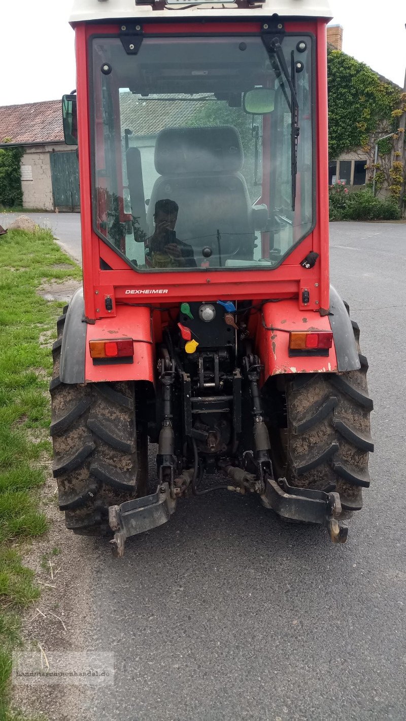 Obstbautraktor типа Dexheimer 380Sl, Gebrauchtmaschine в Burg/Spreewald (Фотография 5)