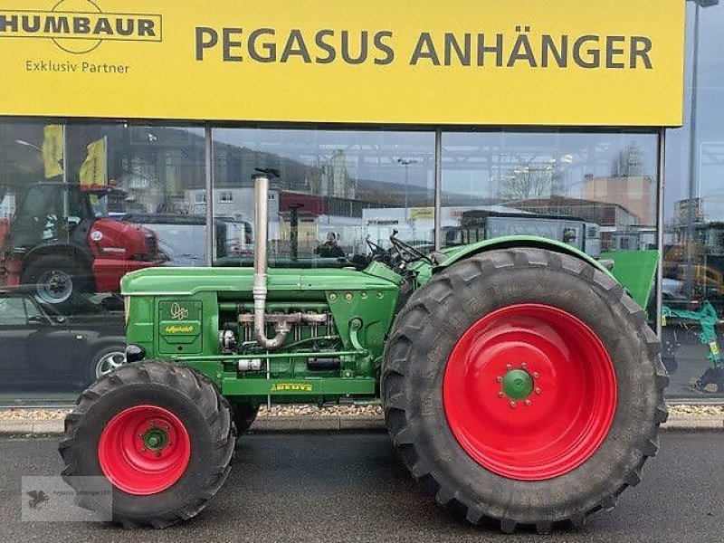 Oldtimer-Traktor van het type Deutz-Fahr D80 Traktor Schlepper Oldtimer Restauriert, Gebrauchtmaschine in Gevelsberg (Foto 3)