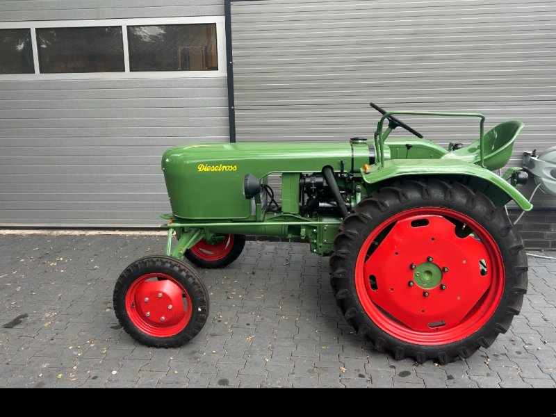 Oldtimer-Traktor tipa Fendt Dieselross F12, Gebrauchtmaschine u Gross Hesepe (Slika 1)