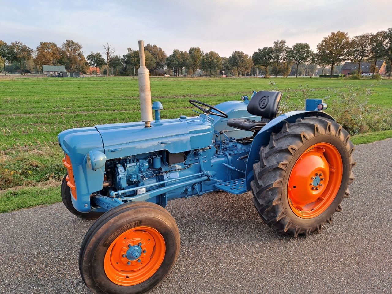 Oldtimer-Traktor Türe ait Ford Dexta, Gebrauchtmaschine içinde Wierden (resim 4)