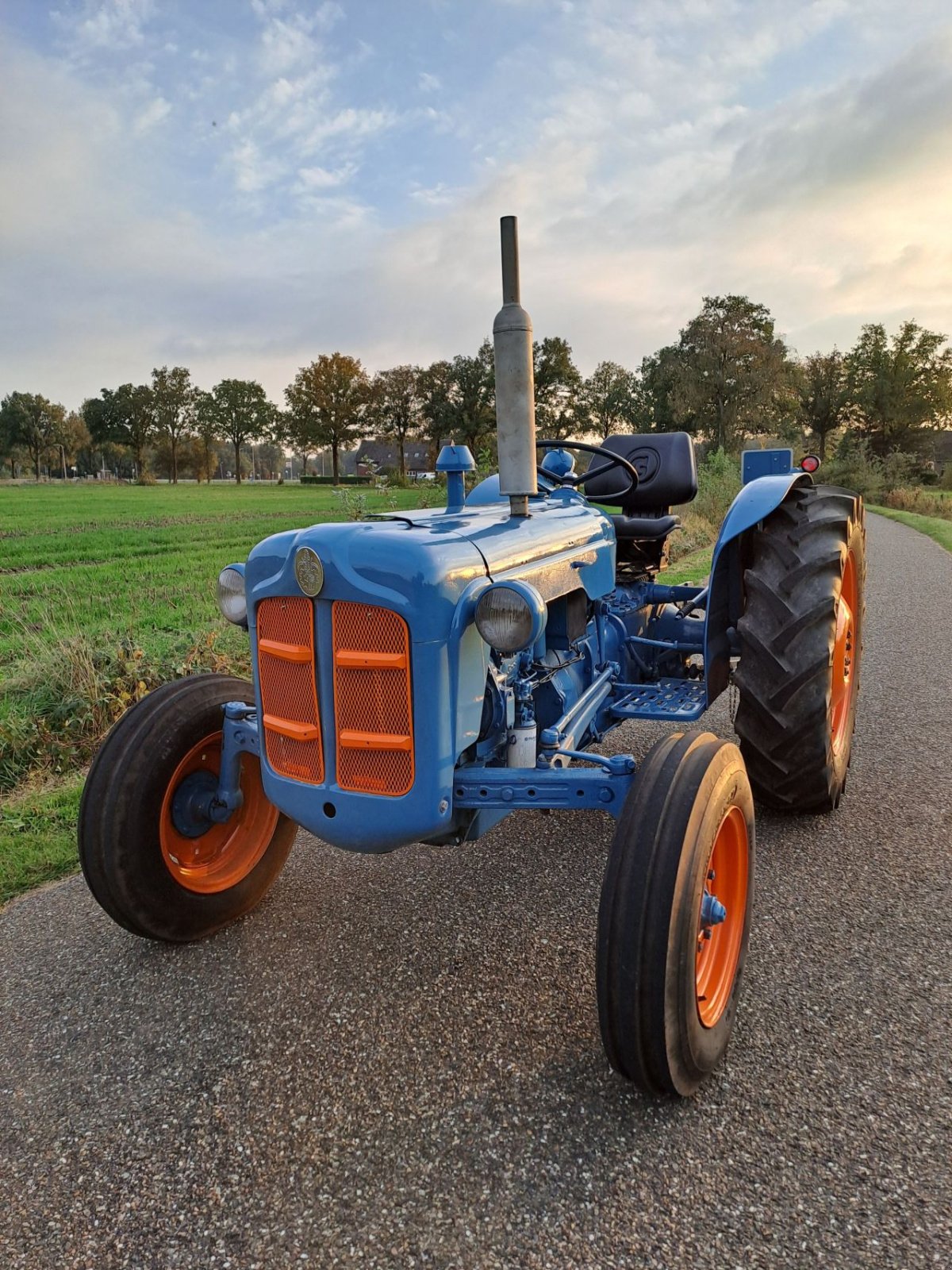 Oldtimer-Traktor tip Ford Dexta, Gebrauchtmaschine in Wierden (Poză 3)