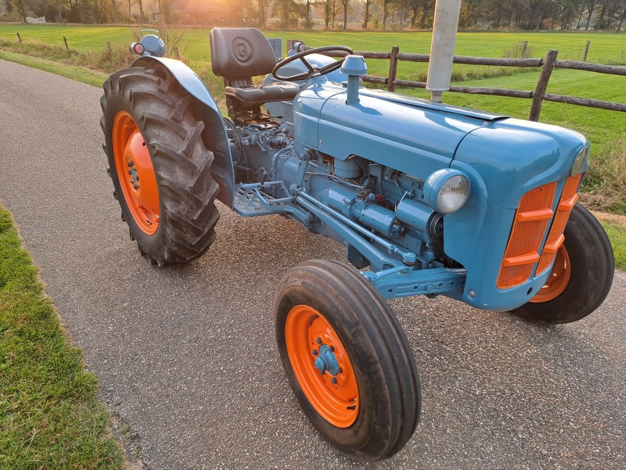 Oldtimer-Traktor typu Ford Dexta, Gebrauchtmaschine w Wierden (Zdjęcie 2)