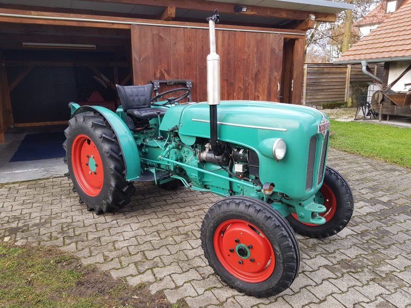 Oldtimer-Traktor del tipo Kramer 350 Export, Gebrauchtmaschine In Friedrichshafen (Immagine 1)