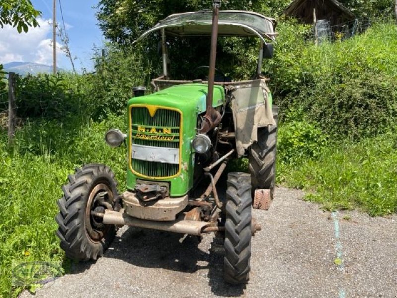 Oldtimer-Traktor Türe ait MAN AS 440 A/24, Gebrauchtmaschine içinde Münzkirchen (resim 2)