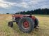 Oldtimer-Traktor tipa Massey Ferguson 1100, Gebrauchtmaschine u NATTERNBACH (Slika 7)