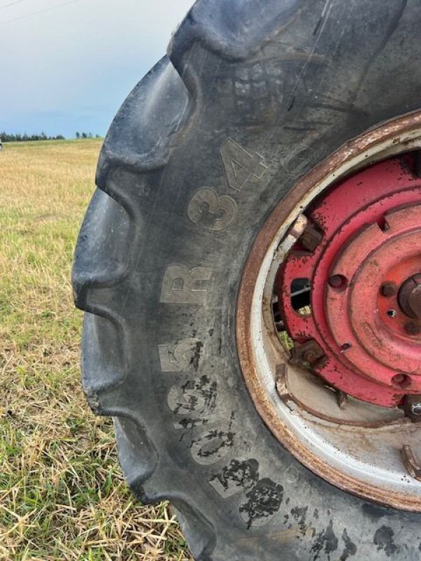 Oldtimer-Traktor Türe ait Massey Ferguson 1100, Gebrauchtmaschine içinde NATTERNBACH (resim 10)