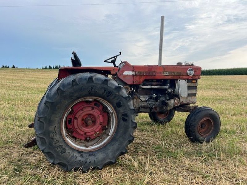 Oldtimer-Traktor del tipo Massey Ferguson 1100, Gebrauchtmaschine en NATTERNBACH (Imagen 3)