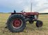 Oldtimer-Traktor typu Massey Ferguson 1100, Gebrauchtmaschine w NATTERNBACH (Zdjęcie 3)