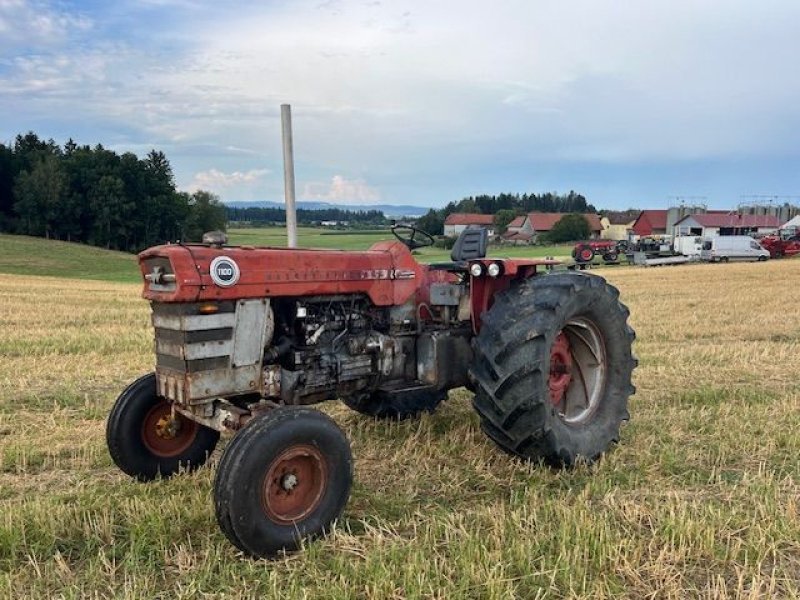 Oldtimer-Traktor Türe ait Massey Ferguson 1100, Gebrauchtmaschine içinde NATTERNBACH (resim 5)